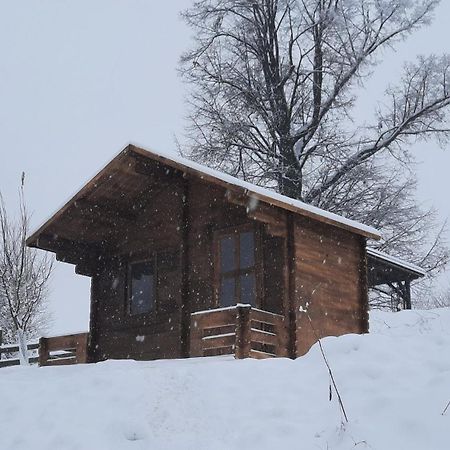Cottage Bara Božanov Exteriér fotografie
