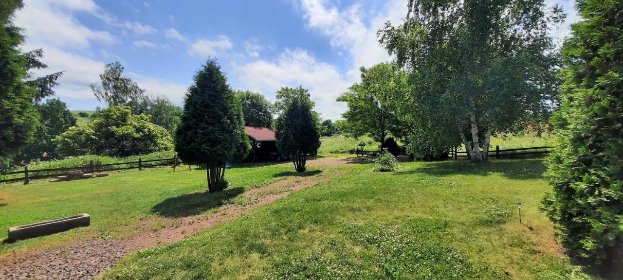 Cottage Bara Božanov Exteriér fotografie
